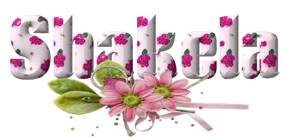 Pink Flowers - Shakela