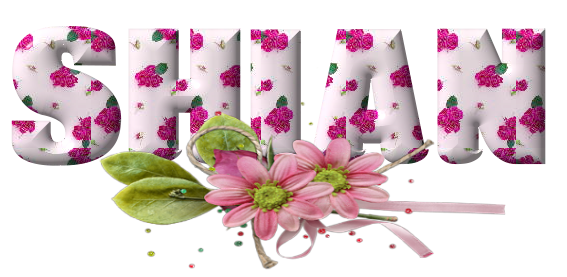 Pink Flowers - Shian