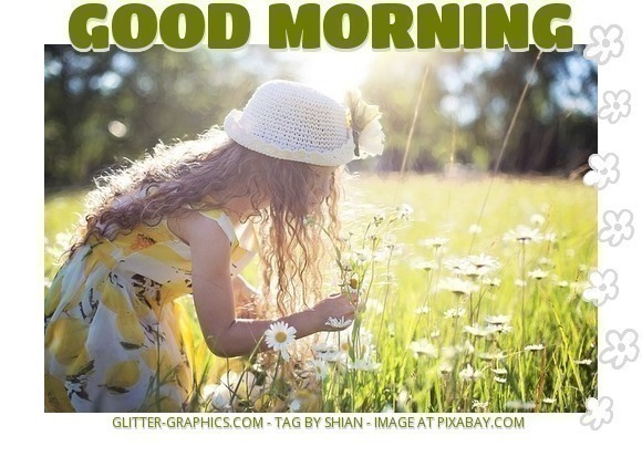 GOOD MORNING, SUMMER, DAISY, GREETINGS