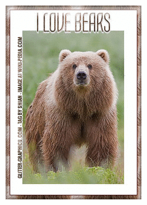 I LOVE BEARS, ANIMALS  WINE GLASS, BEARS