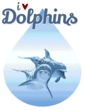 i love Dolphins, ANIMALS, TEARDROPS, COMMENTS