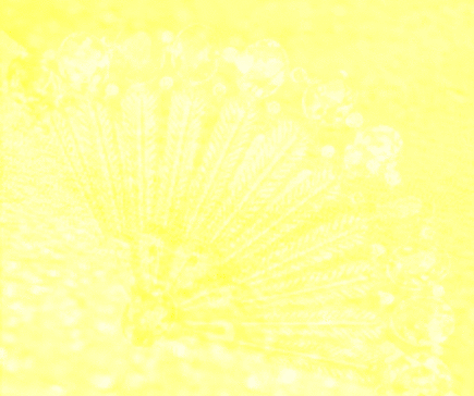 TumbleForYouCitrine