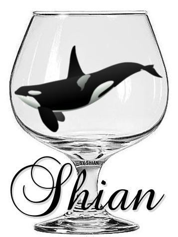 Shian's Killer Whale