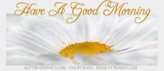ENJOY THE SUMMERTIME FUN, FLOWERS, BUTTERFLY, TEXT