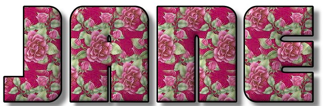 Pink flowers with black trim - Jane