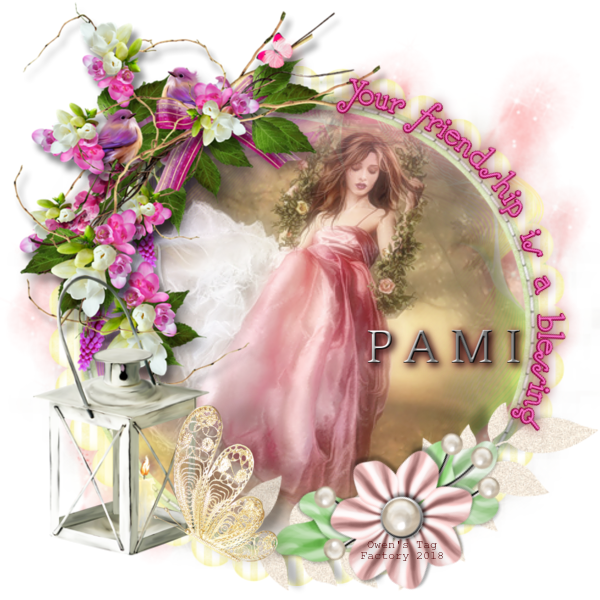 Friendship Blessing - Pami