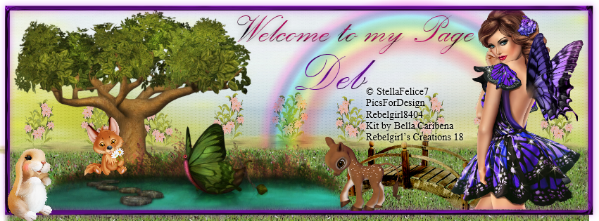 Deb -Welcome to my page fb cover
