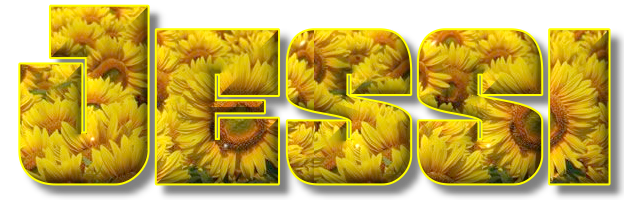 Sunflowers - Jessi