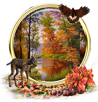 Lovely Autumn Scene