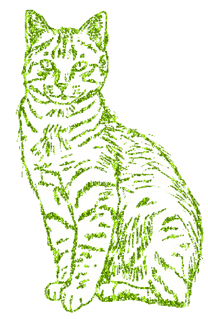 cat