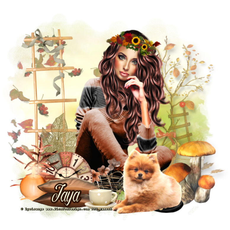 AUTUMN DAYS - JAYA