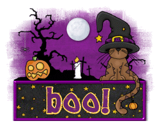 Cat & Pumpkin (BOO!)