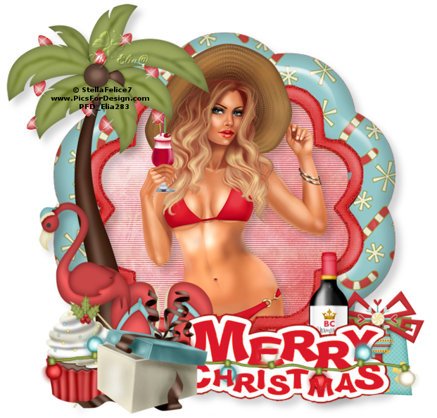 Merry Christmas