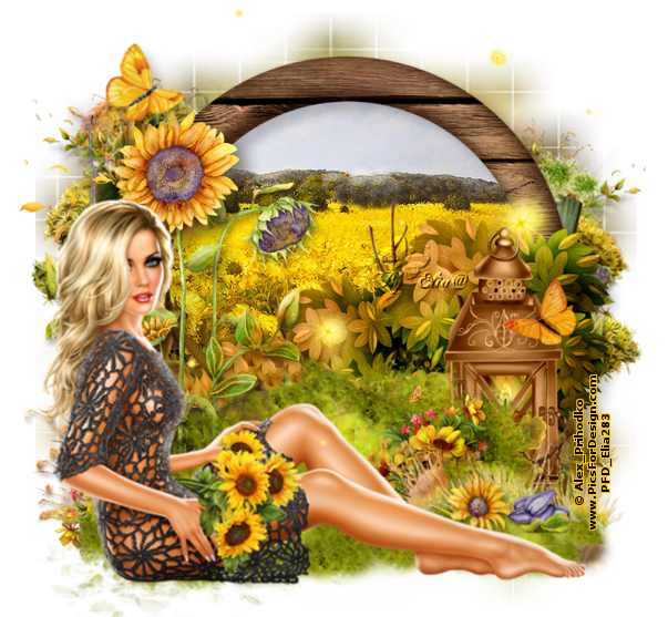 SunFlowers
