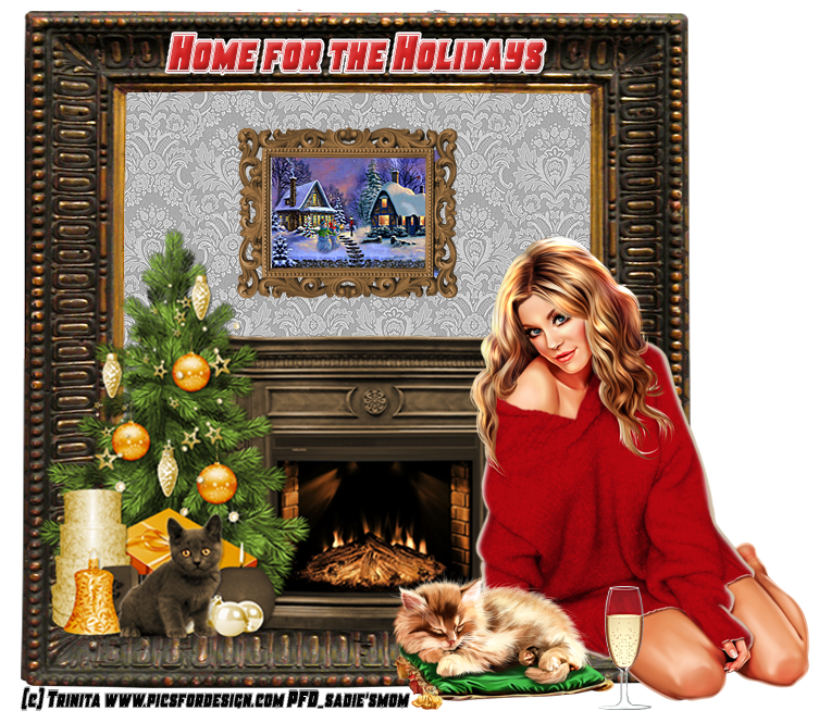 Home for the Holidays