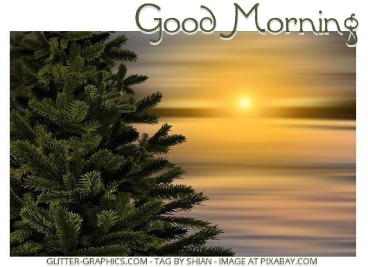 GOOD MORNING, FIR TREE, SUNRISE, TEXT
