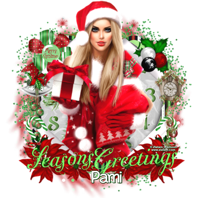 SEASONS GREETINGS - PAMI