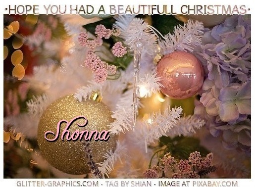 HOPE YOU HAD A BEAUTIFULL CHRISTMAS.. Shonna