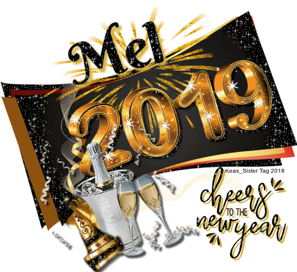 Mel - New Year - 2019 - Champagne - Bucket