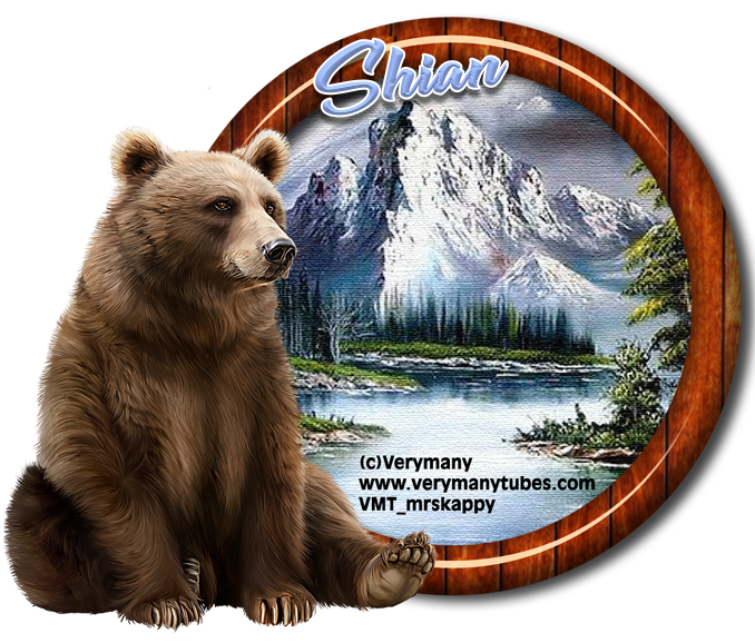 BEAR - SHIAN