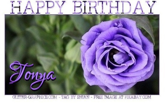 HAPPY BIRTHDAY TONYA, ROSE, TEXT