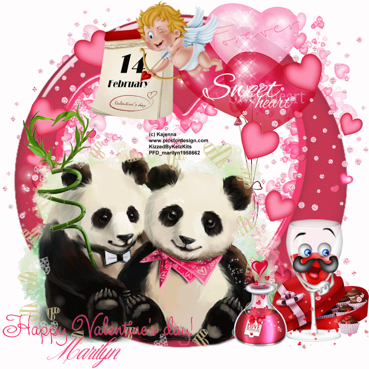 Panda Bear Valentine/Marilyn