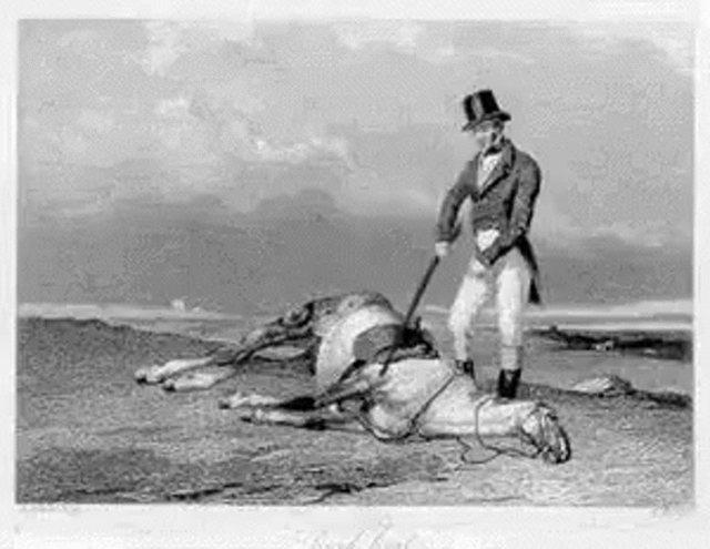 man hitting a dead horse gif