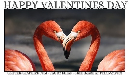HAPPY VALENTINES DAY, FLAMINGOS, HOLIDAYS, TEXT