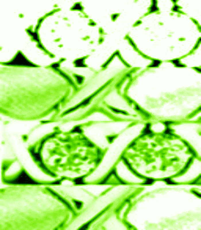 AWholeLotOfLovexoxoPeridotxoxo
