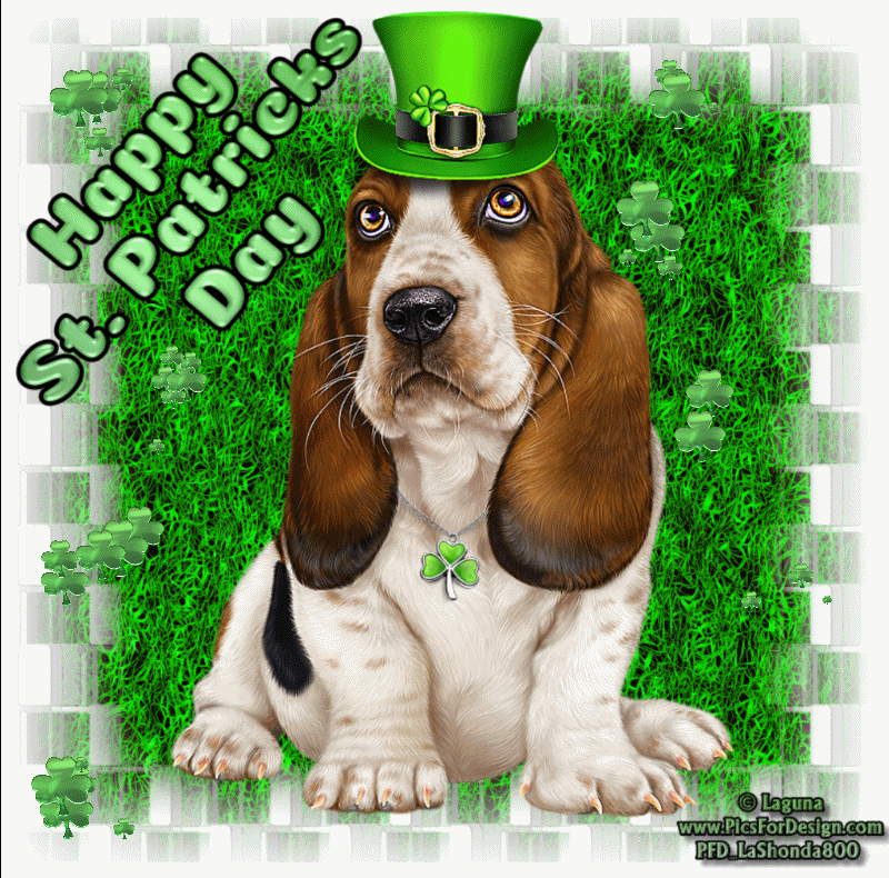 Happy St. Patricks Day