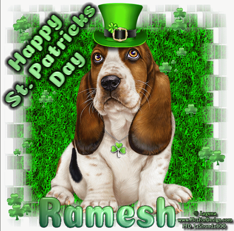Happy St. Patricks Day Ramesh