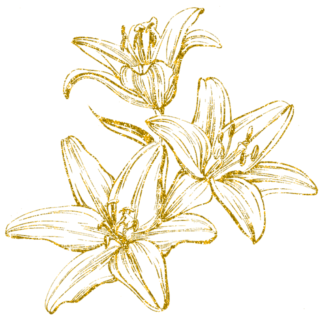 lilies