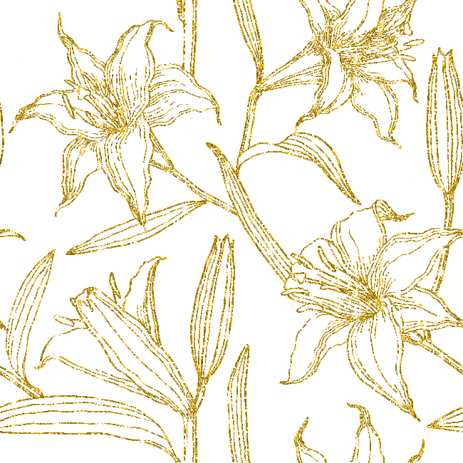lilies