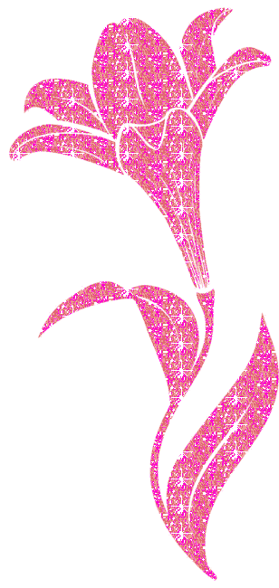 lily