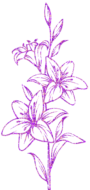 lilies