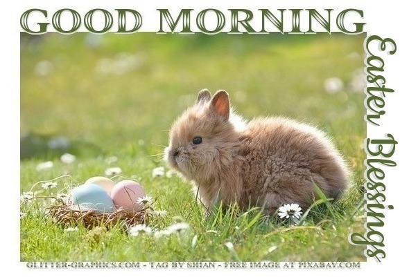 GOOD MORNING EASTER BLESSINGS, BUNNY, HOLIDAYS, TEXT