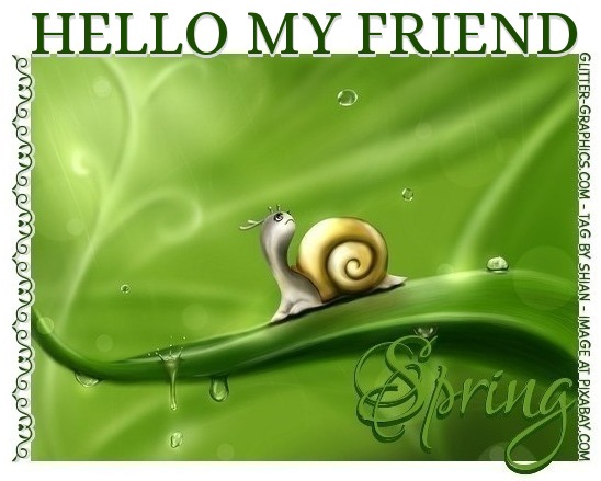 HELLO MY FRIEND, SNAIL, CUTE, TEXT