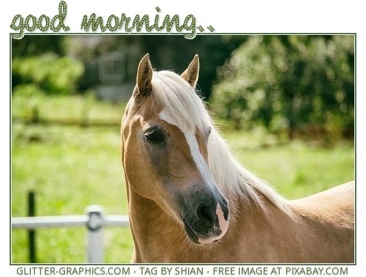 good morning..