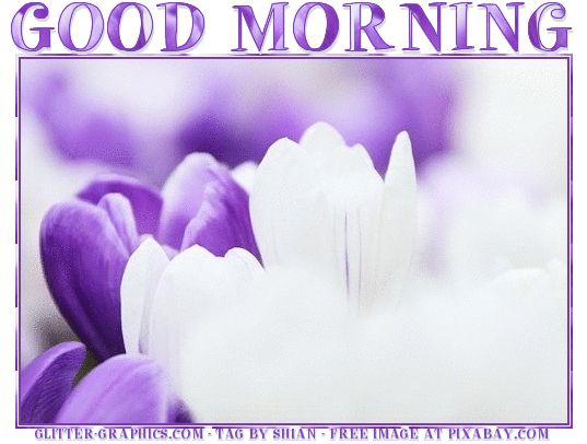 GOOD MORNING, ANYTIME, NATURE, TEXT