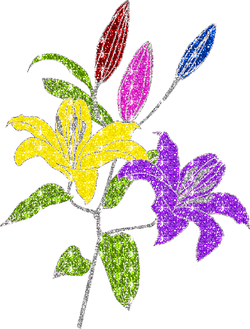 lilies