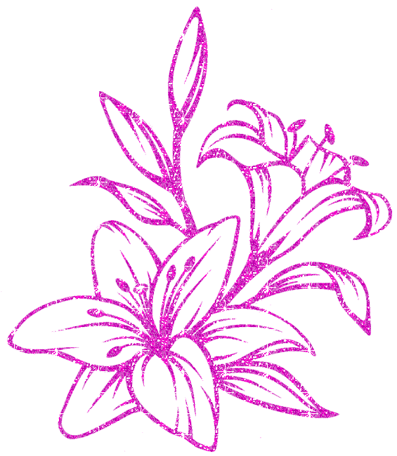 lily