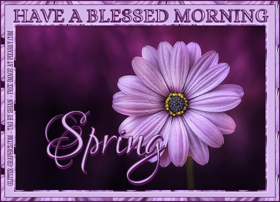 HAVE A BLESSED MORNING.. SPRING, FLOWER, PURPLE, TEXT