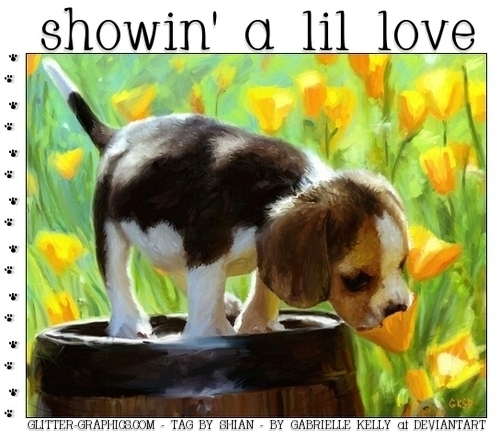 showin' a lil love, ANIMALS, DOG, NATURE, TEXT