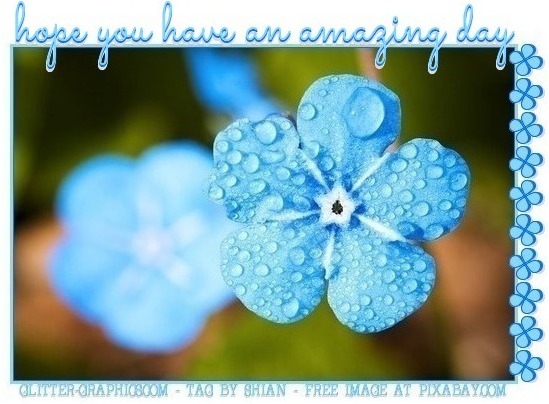 have an amazing day, FLOWERS, HOLIDAYS, TEXT