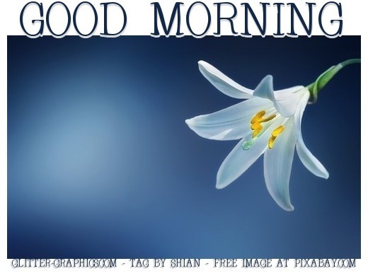 GOOD MORNING, FLOWER, LILY, TEXT