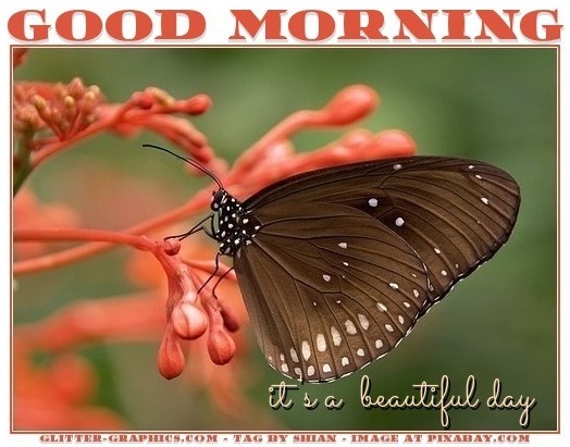 GOOD MORNING.. IT'S A BEAUTIFUL DAY