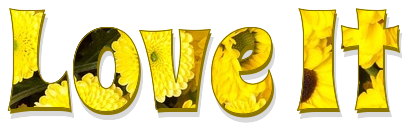 Love it, CHRYSANTHEMUM, YELLOW, TEXT