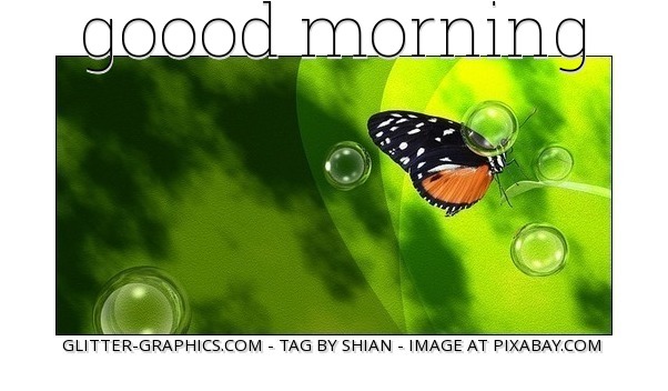 GOOD MORNING, ANIMALS, BUTTERFLY, TEXT