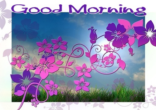 GOOD MORNING, HIBISCUS, PINK, PURPLE, TEXT