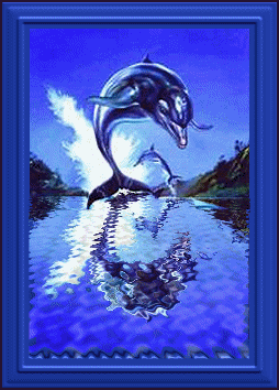 Dolphin